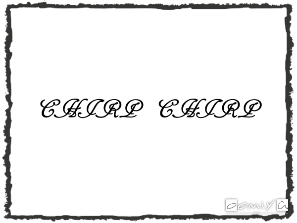 CHROME HEARTS (クロムハーツ)|CHIRP CHIRP 眼鏡フレーム