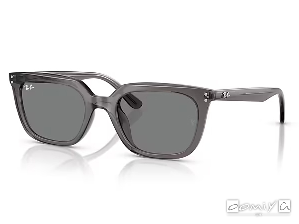 Ray-Ban (レイバン)｜サングラス RB4439D 6675/87